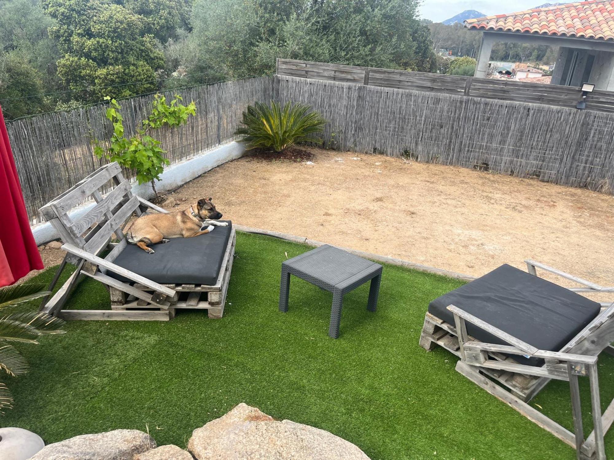 Villa Orethaga Piscine 10 Pers Porto Vecchio Luaran gambar