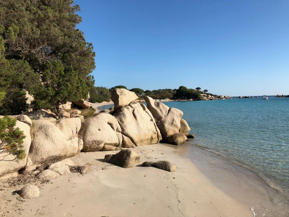 Villa Orethaga Piscine 10 Pers Porto Vecchio Luaran gambar