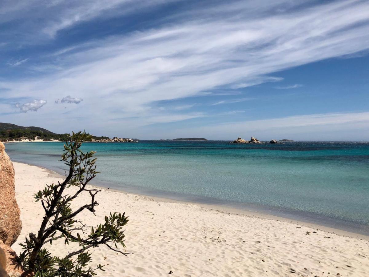 Villa Orethaga Piscine 10 Pers Porto Vecchio Luaran gambar